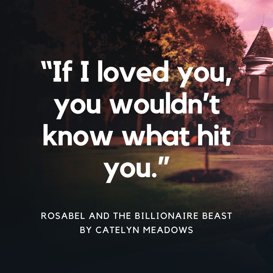 Once Upon a Billionaire Romance Bundle