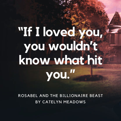 Once Upon a Billionaire Romance Bundle